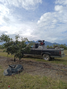 Llantera Móvil Iván Rodríguez